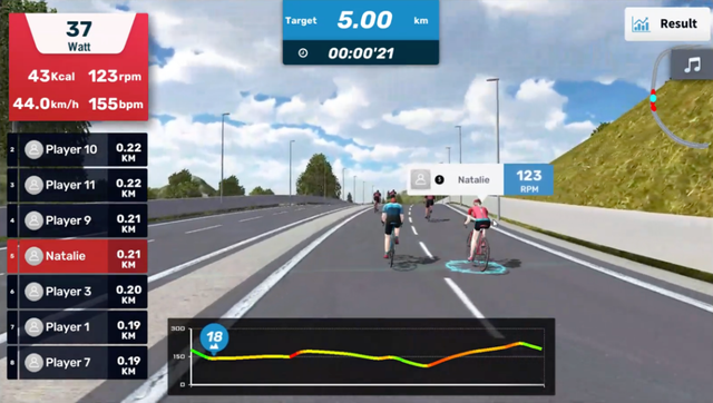 Screenshot of application where people are cycling on a bridge