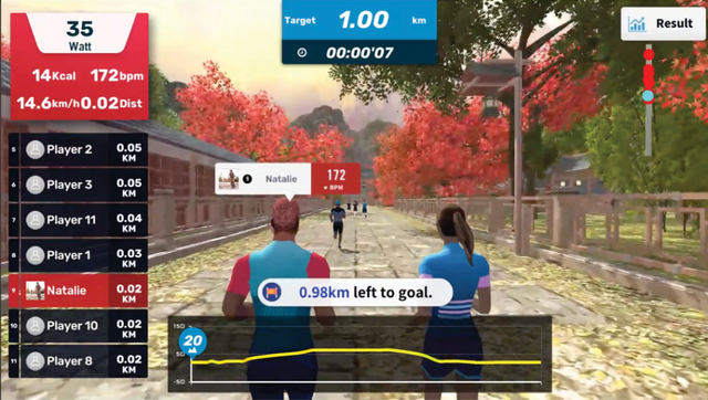 Virtual run in a park