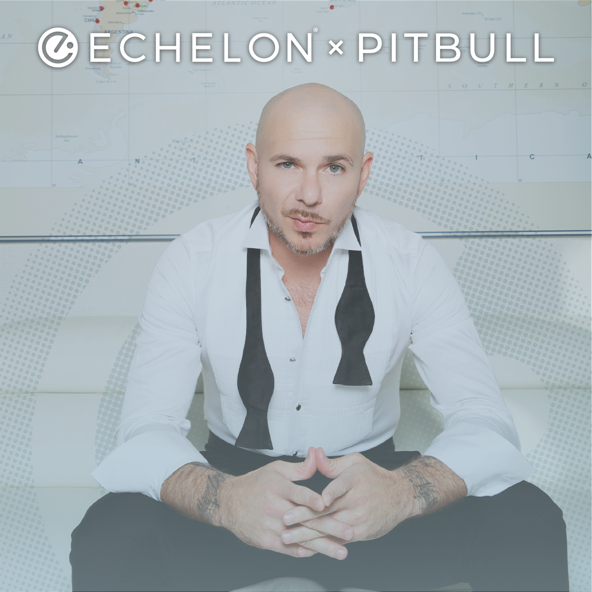 Pitbull sitting in front of an Echelon logo